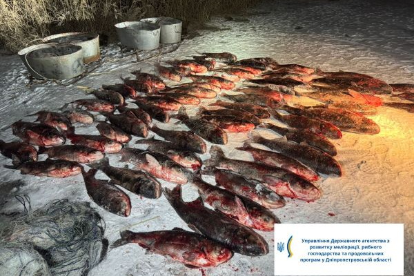 Почти 700 кг незаконного улова: на Днепропетровщине выявили браконьера