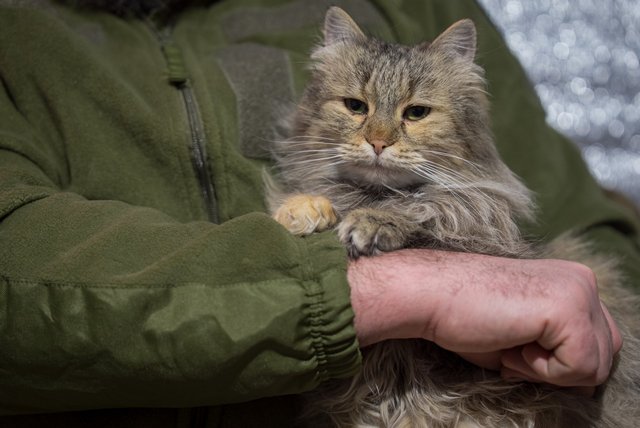 ���������� ��������� � ���. ʳ��� ���� ���� ������ ����� � ����� 128-� ������� ����� ����