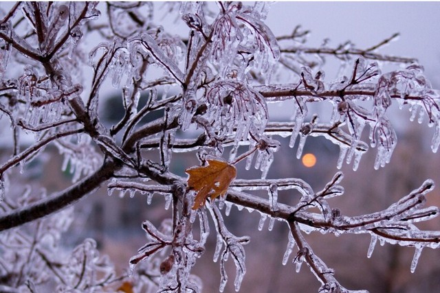 �������, �� ������� ����������: ������� ������ �� ���������������� �� 26 ������