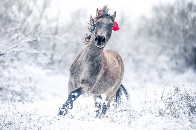 � ������ �������� ����� ���������� � �������� ����