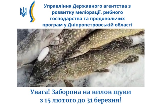 Вскоре стартует запрет на отлов щуки: предупреждаем рыбаков