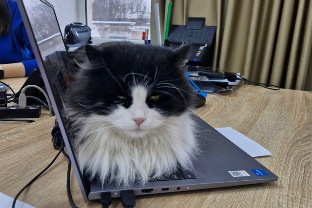 � ��������� ������ ��������� ��������� ��������� ����������