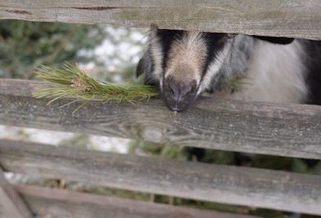 �������� �� ����������������, ��� ��������� ��������, �������������� �� ���� ������ ��������, ��������� ���� ��� ����