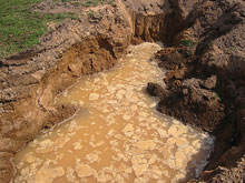 �������� 22-� ����� �������� 75-�