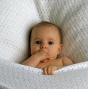 ��������������� �������� �� ��������������� � 2008 ����