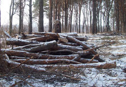 �� ����������� ���������������� ���������� �������� ������� ����