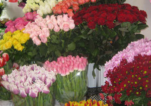 � ���������������� ��������� ������� �� ������� ����� ������