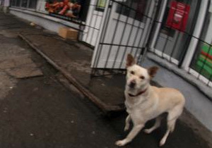 �� ����� ��������� ����� �����