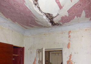 ����� ��� �������