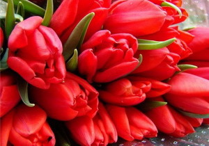 � ���������������� ��������� ������� ����� ������