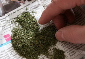 ����������� ��������������� ��������� �� ������� �������