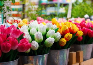 ���������������� ���������� �� ������� �� ������� ����� ������