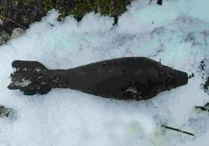 � ����������� ������� ��������� ������ ��������� ��������