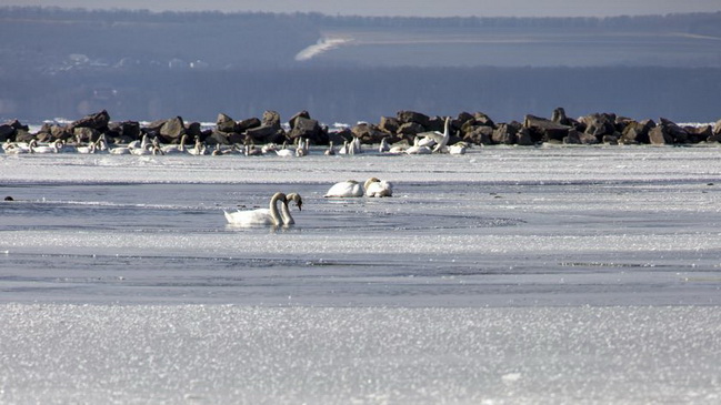 ������ �� ����: ������������ � ��������� ���������� ��������� ��������