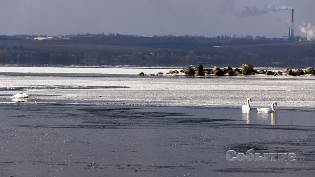 � ��������� ������� ������� 