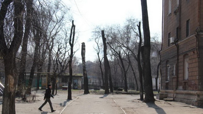 � ��������� ������������� ������ �� ������: ����� ���� �����