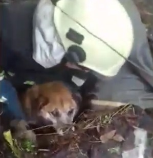 � ������ ��������� ���������� ������ �� ������������ �������, ������������ ����� � �������