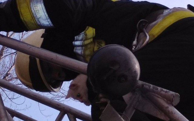 � ������ ���������� ���� ����� ���� � ������