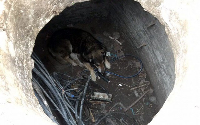 � ������ ��������� ���������� ������, ������� ����� � �������