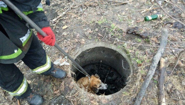 � ����� ������������ ��������� ������, ��� ����� � ���