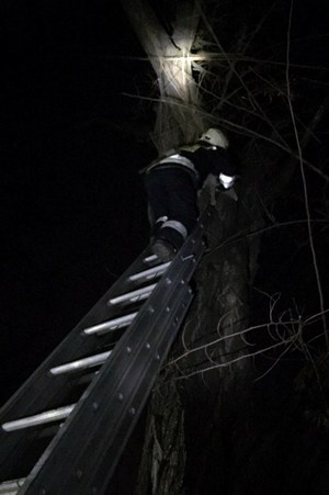 � ������ ��������� ����� ����, ������� ����� �� ������ �� ������ ������� �����