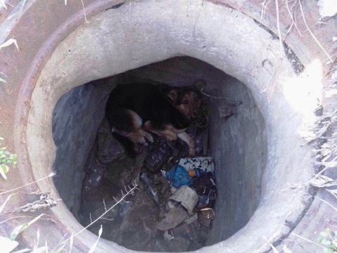 � ������ ��������� ������� ������ �� ���������� �������