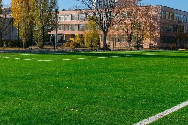 В трех школах Каменского обустроят футбольные поля
