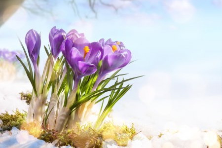 Каменское праздниками будет встречать весну