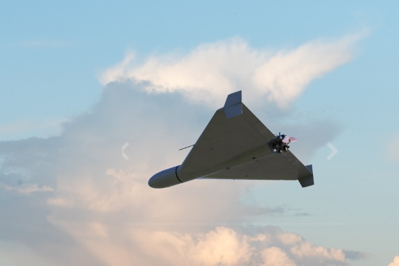 ����� �������� ���� ����������� �����