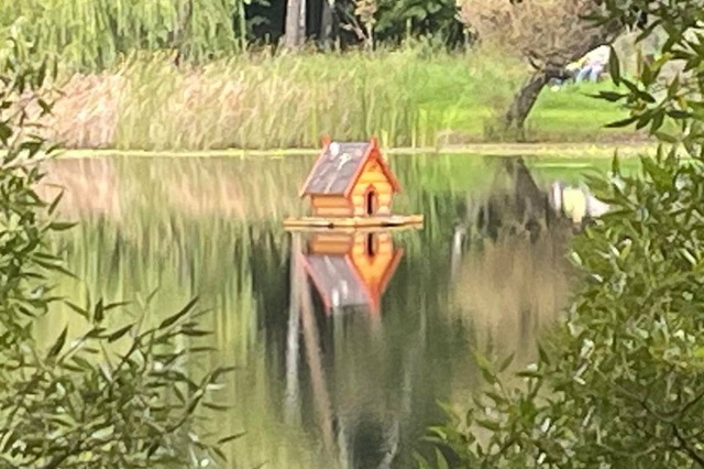 ��� ����� ��������� �������� �������� ����� ���������