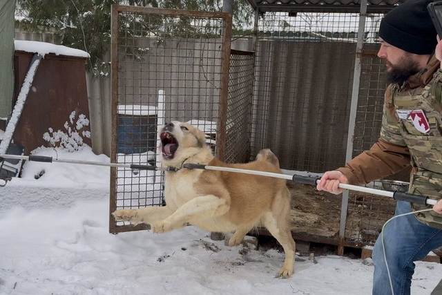 �������� ����� ��� ������� ������, ���������� � �����. ��� ������������ �� ������ ������� �������� �� ������������ ������