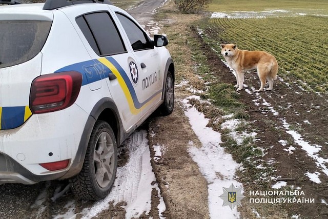 �� ���������������� ����������� ������ ������� ����� ������� ����������� ��������� ������� �����