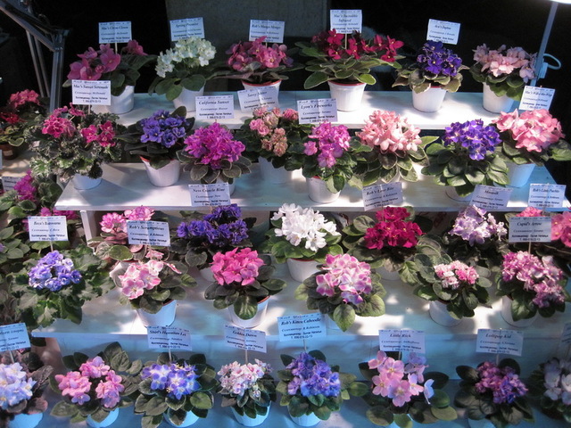 ������� ���������� �� �������� ������