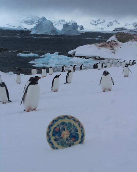 ������� � ������������ �������� �������� � ����������