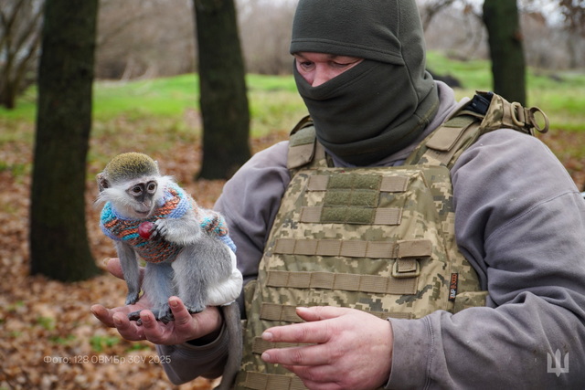 ����� ����� ����� ��������� ����������� ������� ����� ����