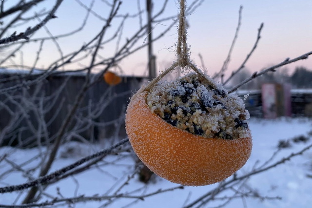 ����� ������ ������� ��������� �������� �� ���������� ����������� �����!