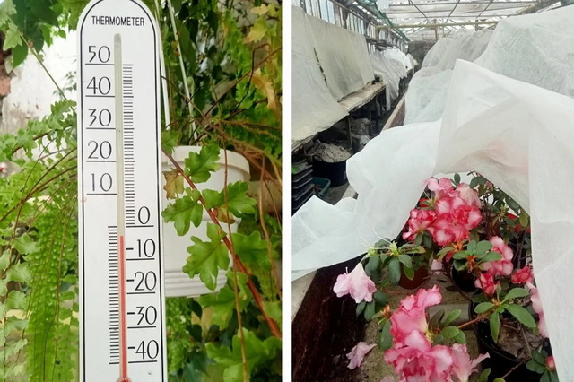 � ������� � �����  ������� ��������:  ����������� ������ ���������