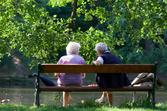 �� ����� ������ ������������ �������� � ������� (�����)