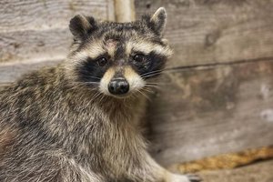 ���� ��� ��� ������ �����. ��� �������������� �� ���������� ������� �� ������ ����� ����� �� �������� ����������������