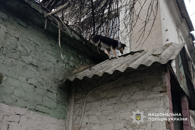 � ����������� ��������� ��������� ������ �� ����� �� ���� ��������� �����