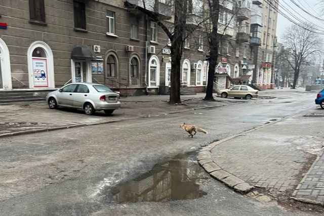 ������� ���� ������ �������� ����� ����