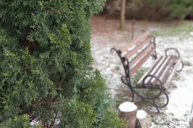 Экскурсия и мастер-классы: в Днепре ботсад анонсировал рабочую субботу