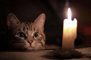 �� ��������� �������� ��������� ��������� ���� ���������� �����