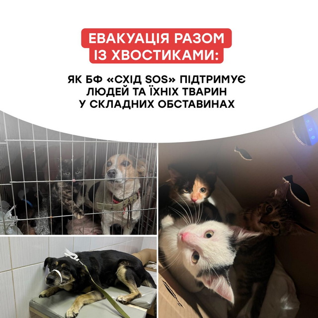 � ������������ ������� ���������������� ��������� ��������� ����� �� ��������� ���������