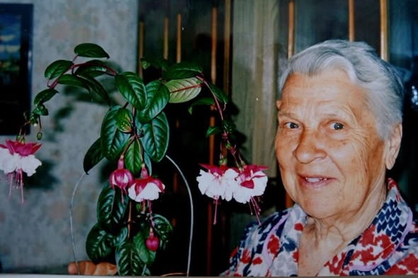 ����� �� ���������� �������� ������ ����������� 102 ����