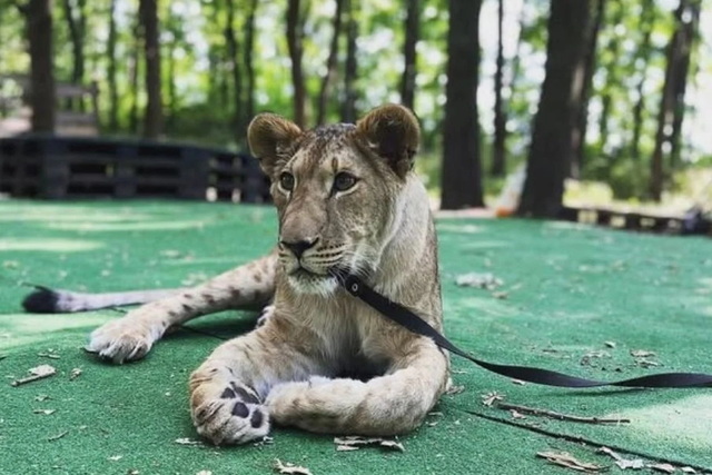 ������� � ������� � ������ ���� - ������������ �� �������� � �������� ����