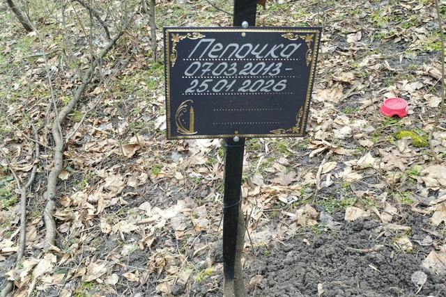 ������ ������ ������ ���������� �������� ����� �������� �������� � ������ � �������?