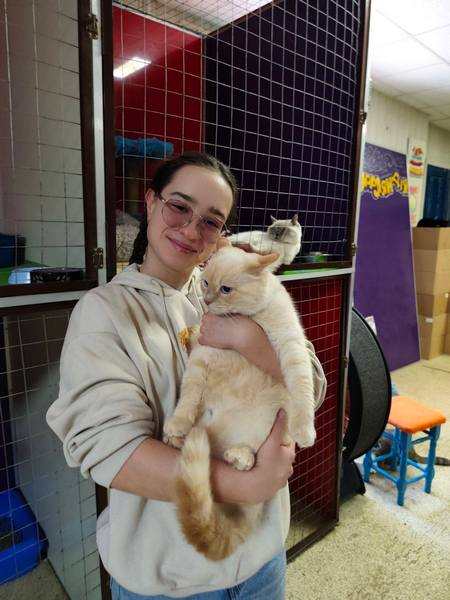 Дніпрян запрошують знімати стрес обіймашками з котами