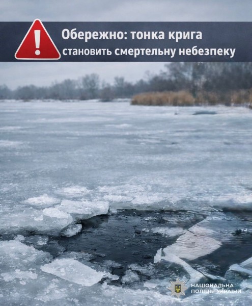 ������ ��� ������������ ����������� ���������: ������� ������ ��������� ������� ���� �����������