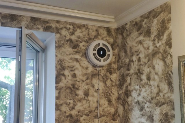 ����������� ��� ����: ��� ������� ������� ���������� � ��� ������� ������